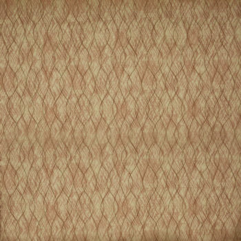draperie model
