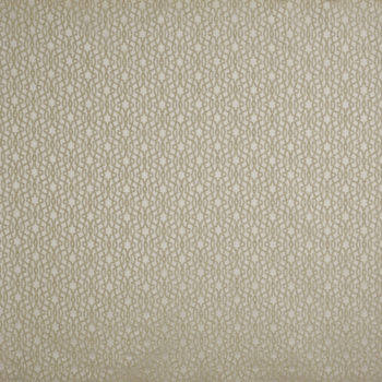 draperie model