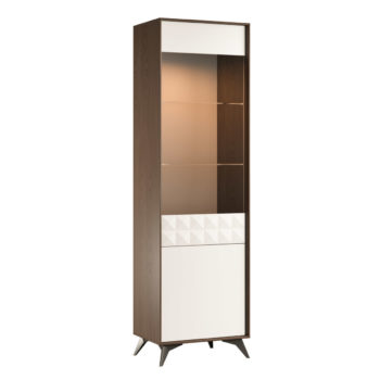 Vitrina moderna