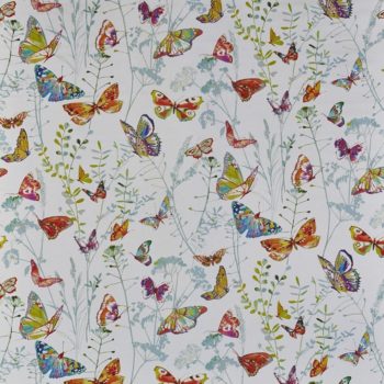 draperie fluturi