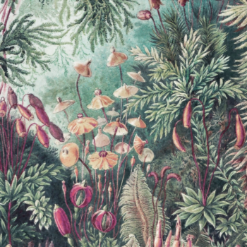 tapet floral